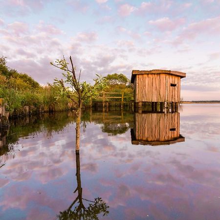 Ferienwohnung Hohner Seeblick Hohn  Exteriör bild